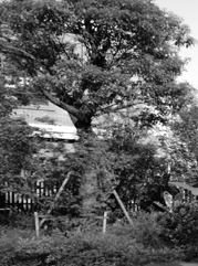 文水注册公司